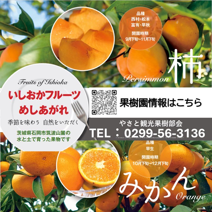 秋に行きたいフルーツ狩り！≪特別クーポンの配信≫に関するページ