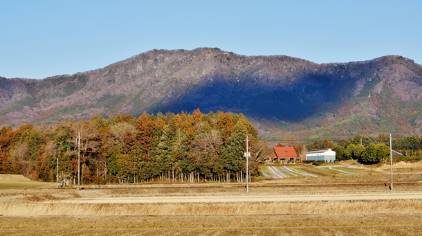 画像:難台山