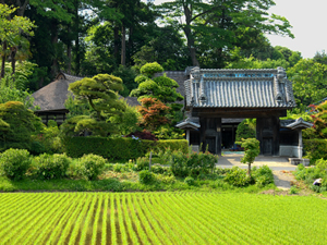 画像:里山風景01