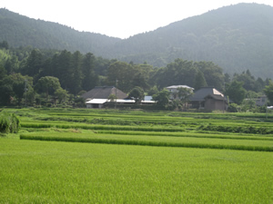 画像:里山風景03