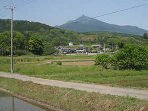 画像:里山風景06