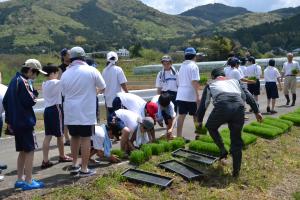 画像:田植え(2)