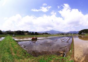 『H24筑波山・霞ヶ浦部門入選・郷の田植え作業・丸森勝造』の画像