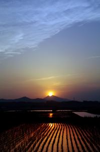 H24筑波山・霞ヶ浦部門入選・筑波夕照・田井俊夫