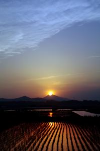 『H24筑波山・霞ヶ浦部門入選・筑波夕照・田井俊夫』の画像