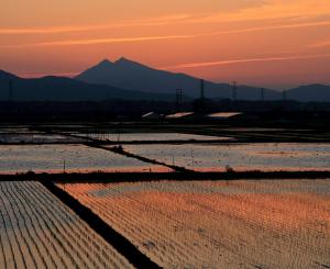 『H25筑波山・霞ヶ浦部門「筑波の五月」』の画像