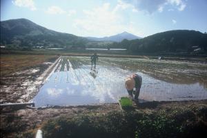 H25筑波山・霞ヶ浦部門入選「補足作業夫婦」