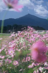 H25筑波山・霞ヶ浦部門入選「秋風立つ頃」