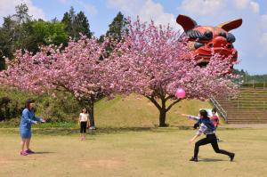 『H26入選　春の佳き日　植竹みとり』の画像