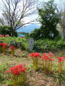 H26入選　野仏に詣でる（彼岸花）　櫻井忠男