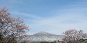 『入選　『桜と雪の筑波山』　小松﨑和男』の画像