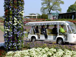 『H27入選　『発車オーライ』　山口定夫』の画像