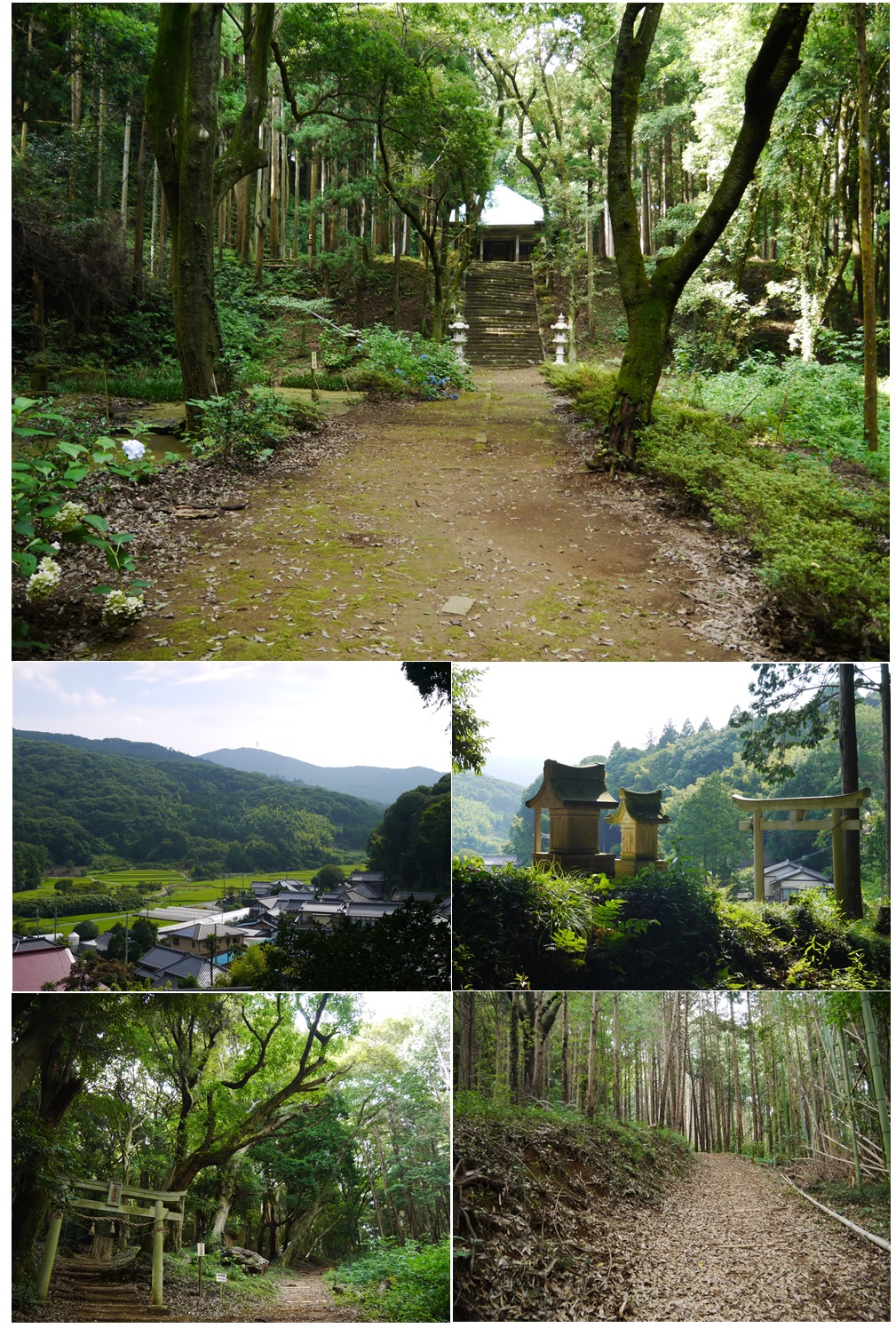 薬師古道ハイキング写真