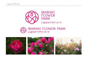 『フラワーパーク１』の画像