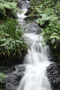 『信仰の流れ２』の画像