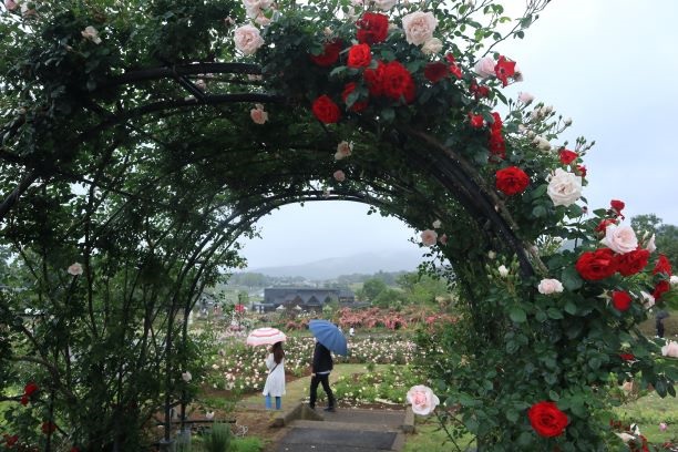 『2021入選4_幸せ運ぶ花園』の画像