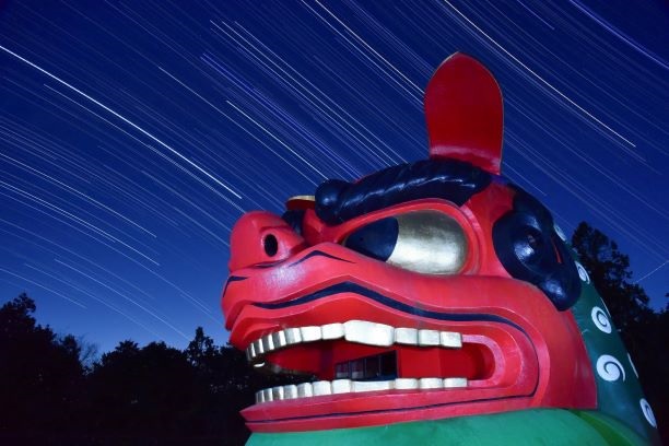2021入選5_星降る夜に獅子、願う