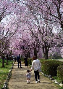 『優秀賞　初めてのお花見』の画像