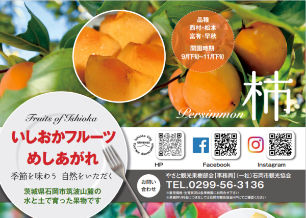 茨城sense～柿～