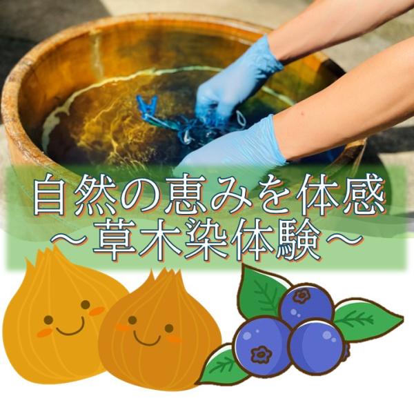 草木染め