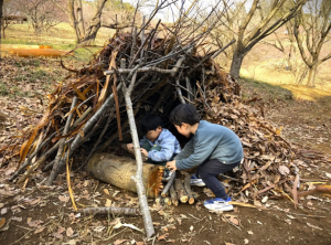 サンプル画像2