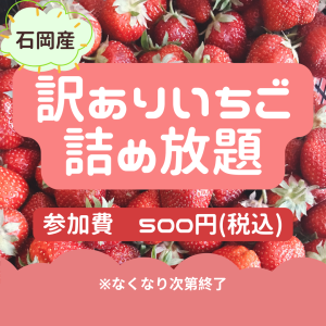 サンプル画像1