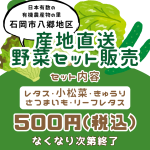 サンプル画像1