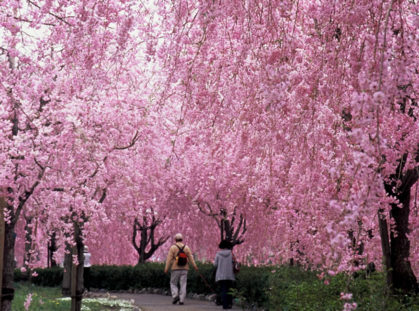 常陸風土記の丘