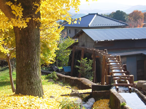 外の水車