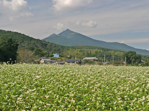 やさとそば街道の風景