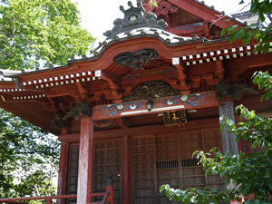 常陸国分寺のアップ