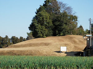 府中愛宕山古墳