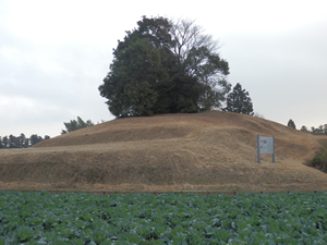 府中愛宕山古墳