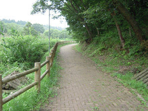 龍神の森キャンプ場の道