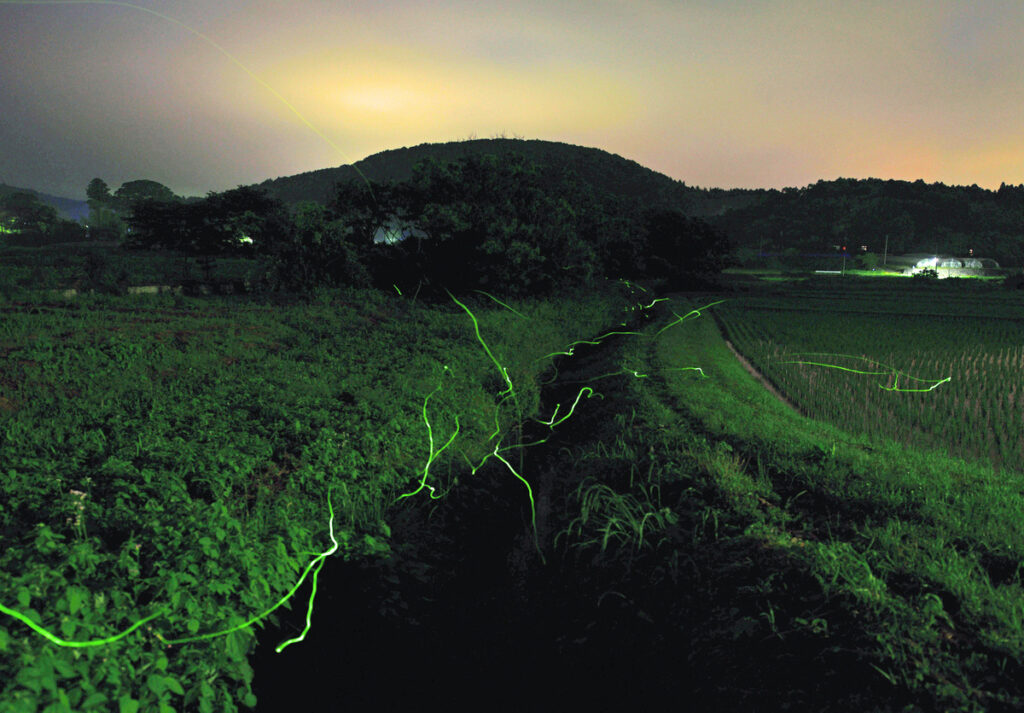 『初夏光跡』小塙馨