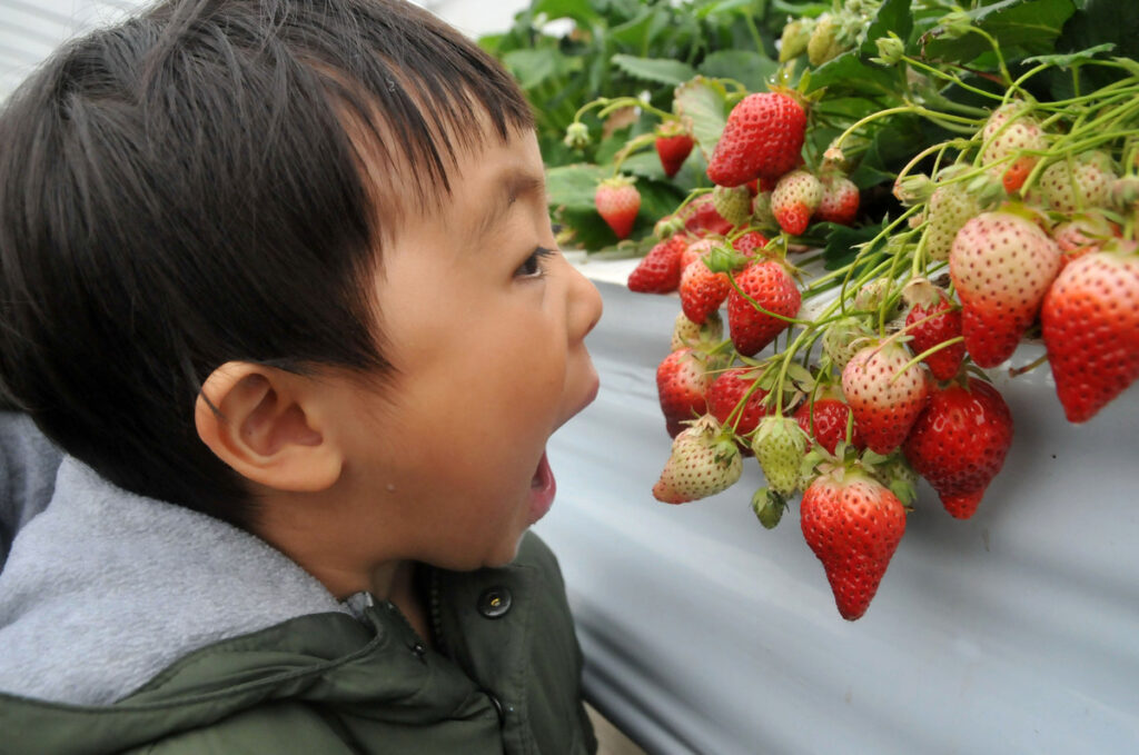 優秀賞『うまそう！』高田良昇