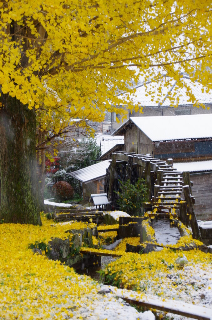 『晩秋の雪景色』櫻井重夫