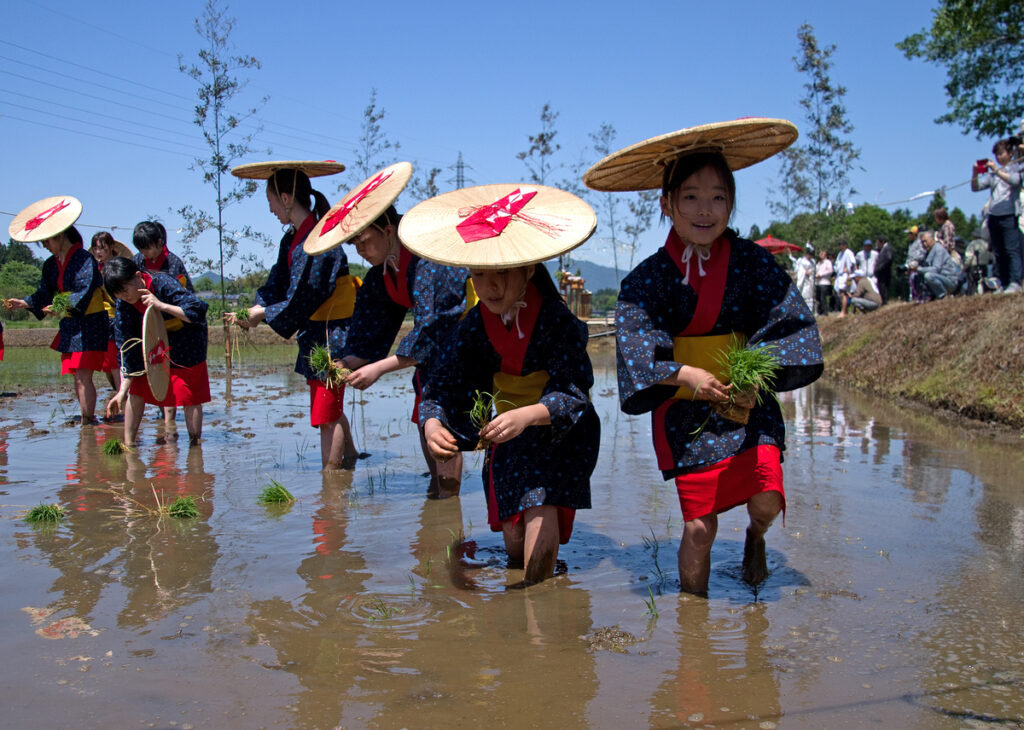 『笑顔こぼれる早乙女姿』相澤勇
