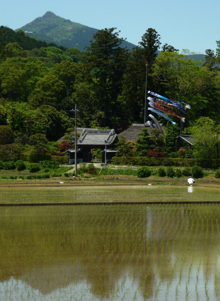 『紫峰の風に泳ぐ』鈴木健司