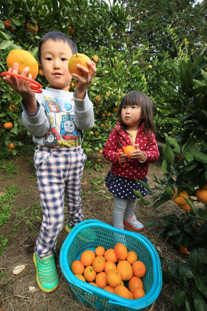 『みて―大きいよ』長谷川正一