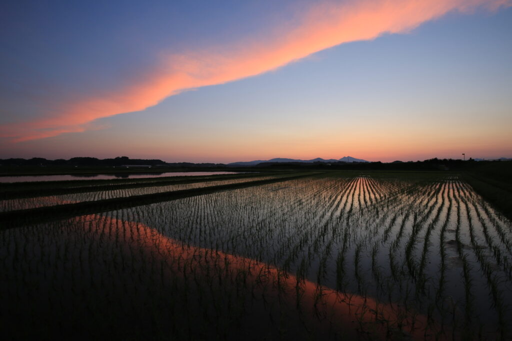 『三村慕情』田上和喜
