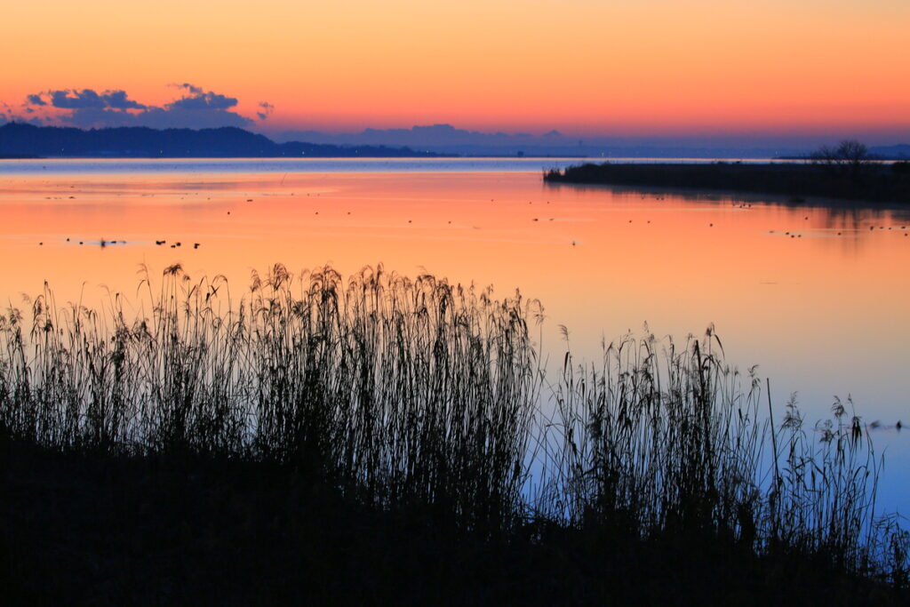 『恋瀬川河口の夜明け』竹内治