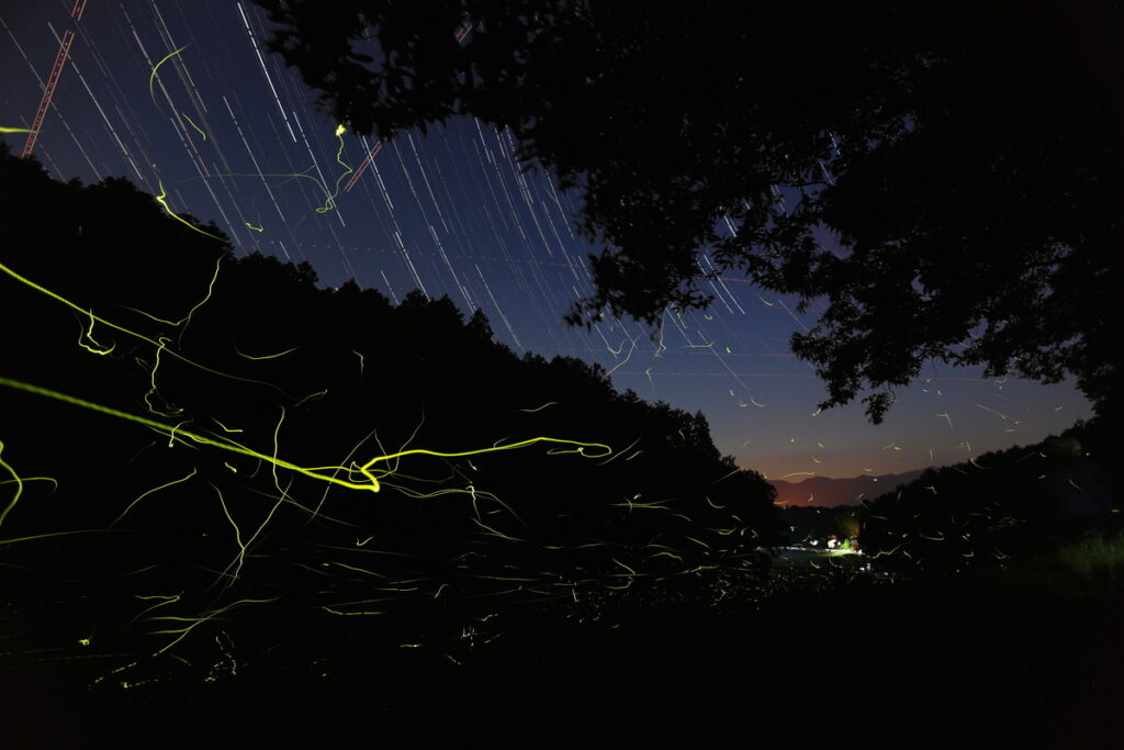 優秀賞『ホタル舞い星降る里』鈴木憲一