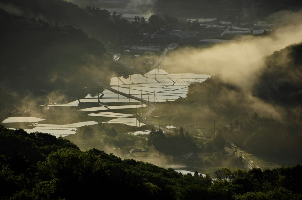 『小町花街道田植待つ』岡本祐彦
