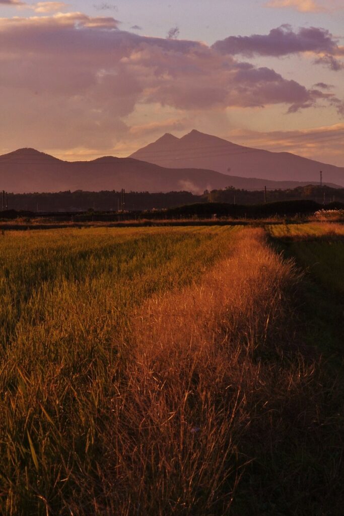 『晩秋』坂本玲子