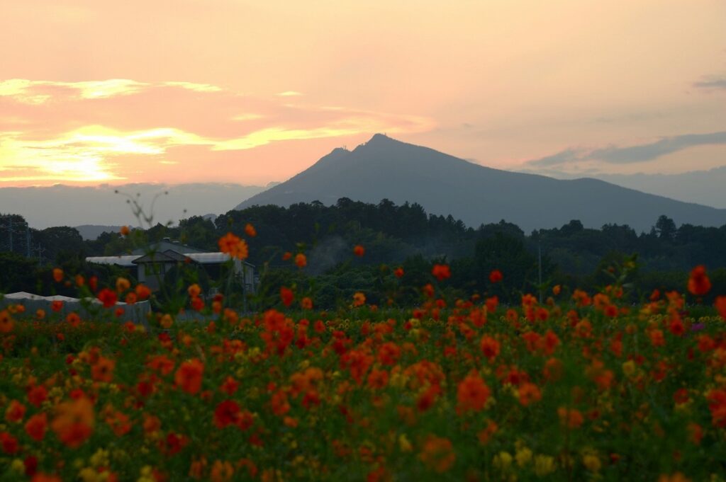 『黄昏』塚本留蔵