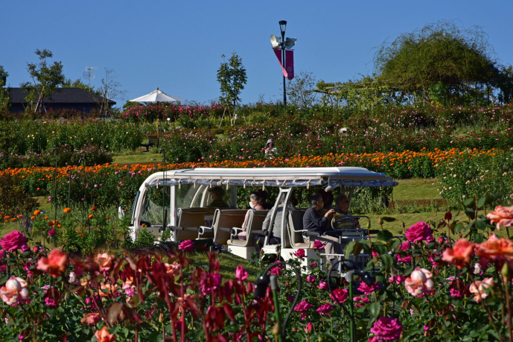 優秀賞『園内遊覧』高田良昇