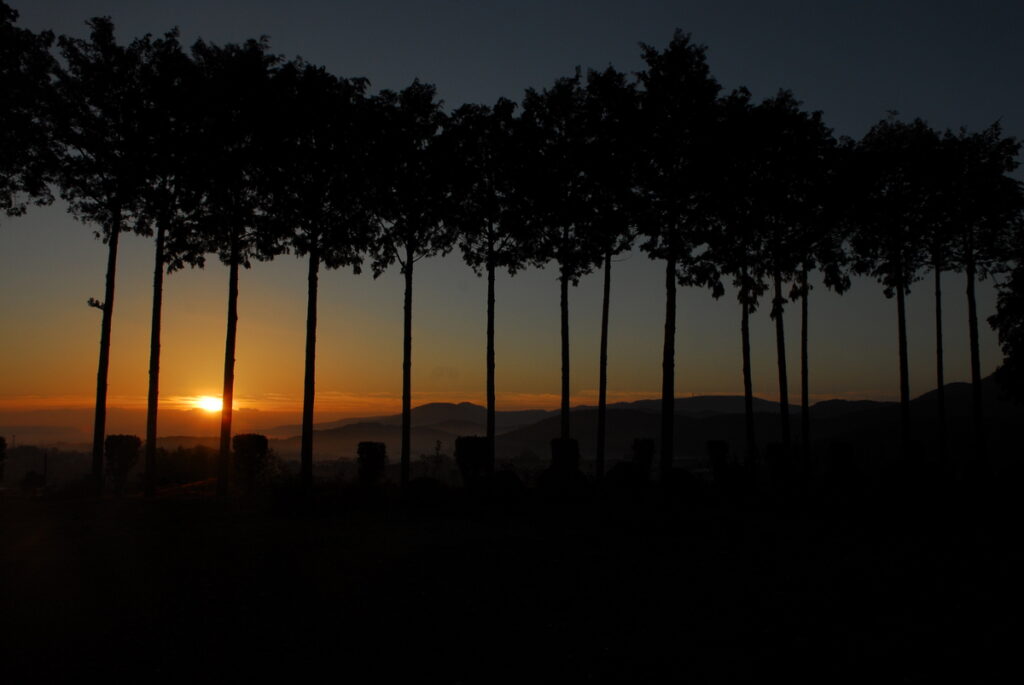 『ゆりの郷眺望』小林優