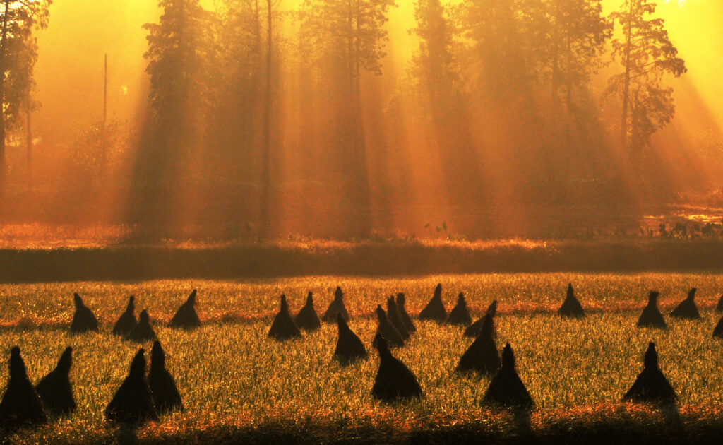 『秋想』庄子一男