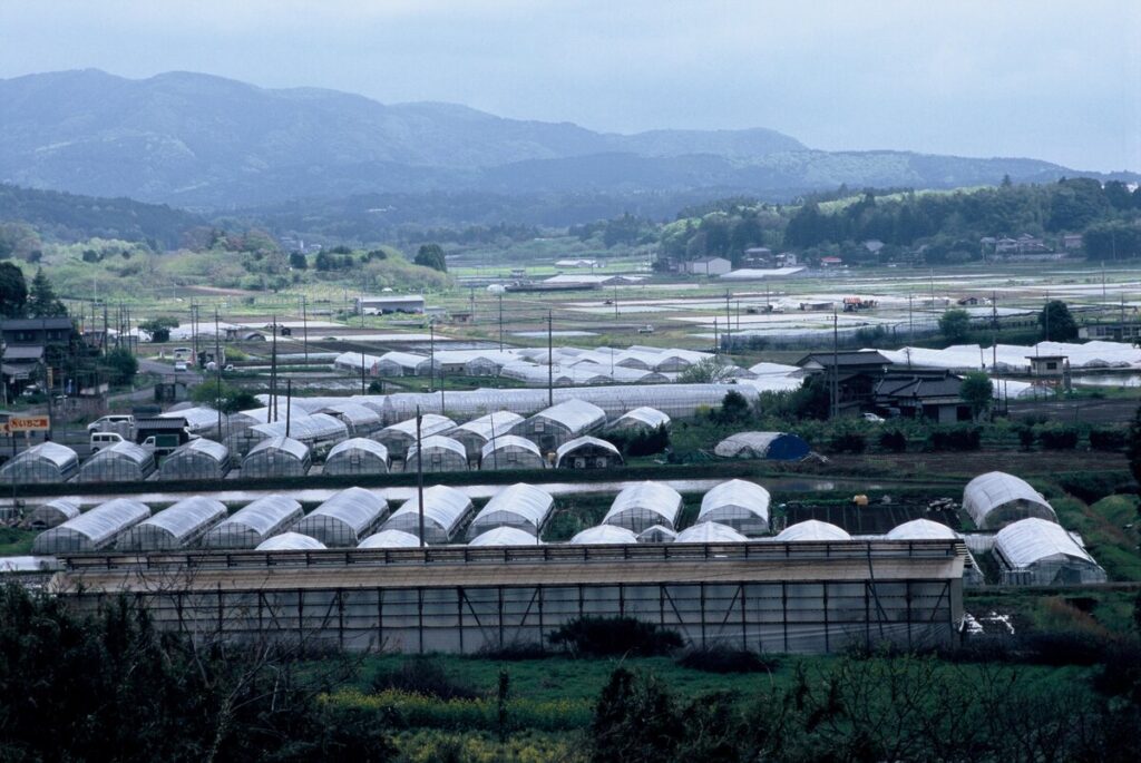 『いちご団地』